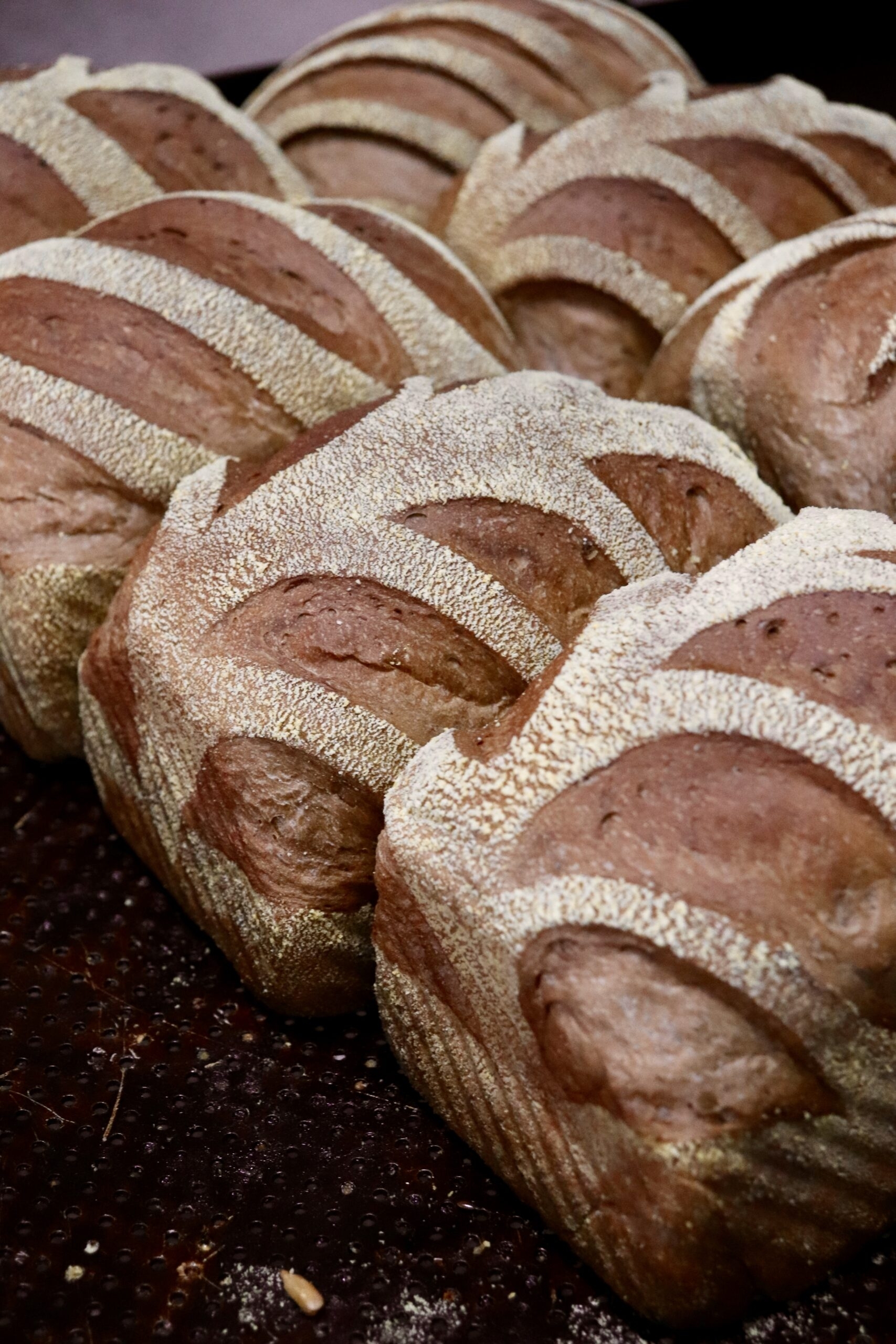 Restaurante: Saint Claire Bakery - Bigorrilho