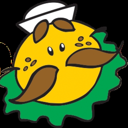 Zé do Hamburger