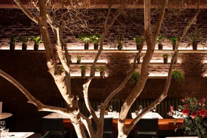 Restaurante: Osteria Zucco: Massas Frescas, Risotos, Carnes, Peixes, Sobremesas Moema SP