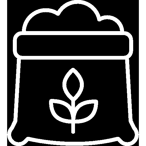 Bar: Santa Madre Cervejaria