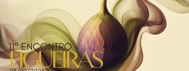 11º Encontro Figueiras