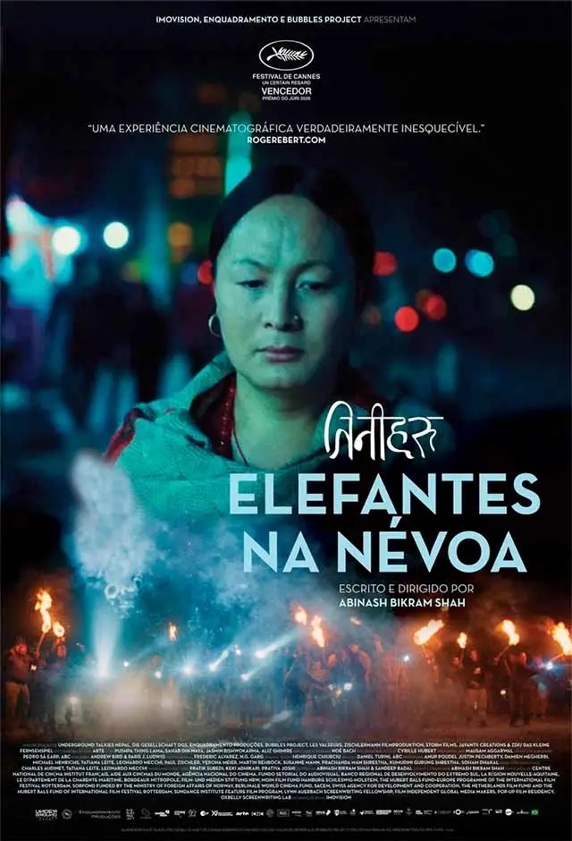 Elefantes Na Névoa