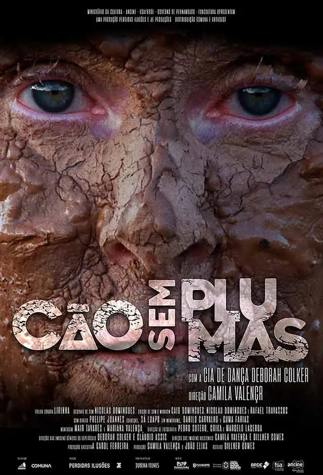 Cão Sem Plumas
