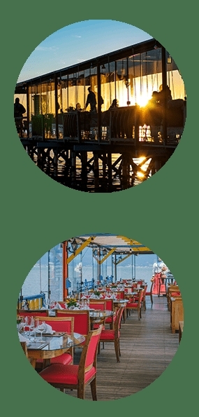Restaurante: Ostradamus