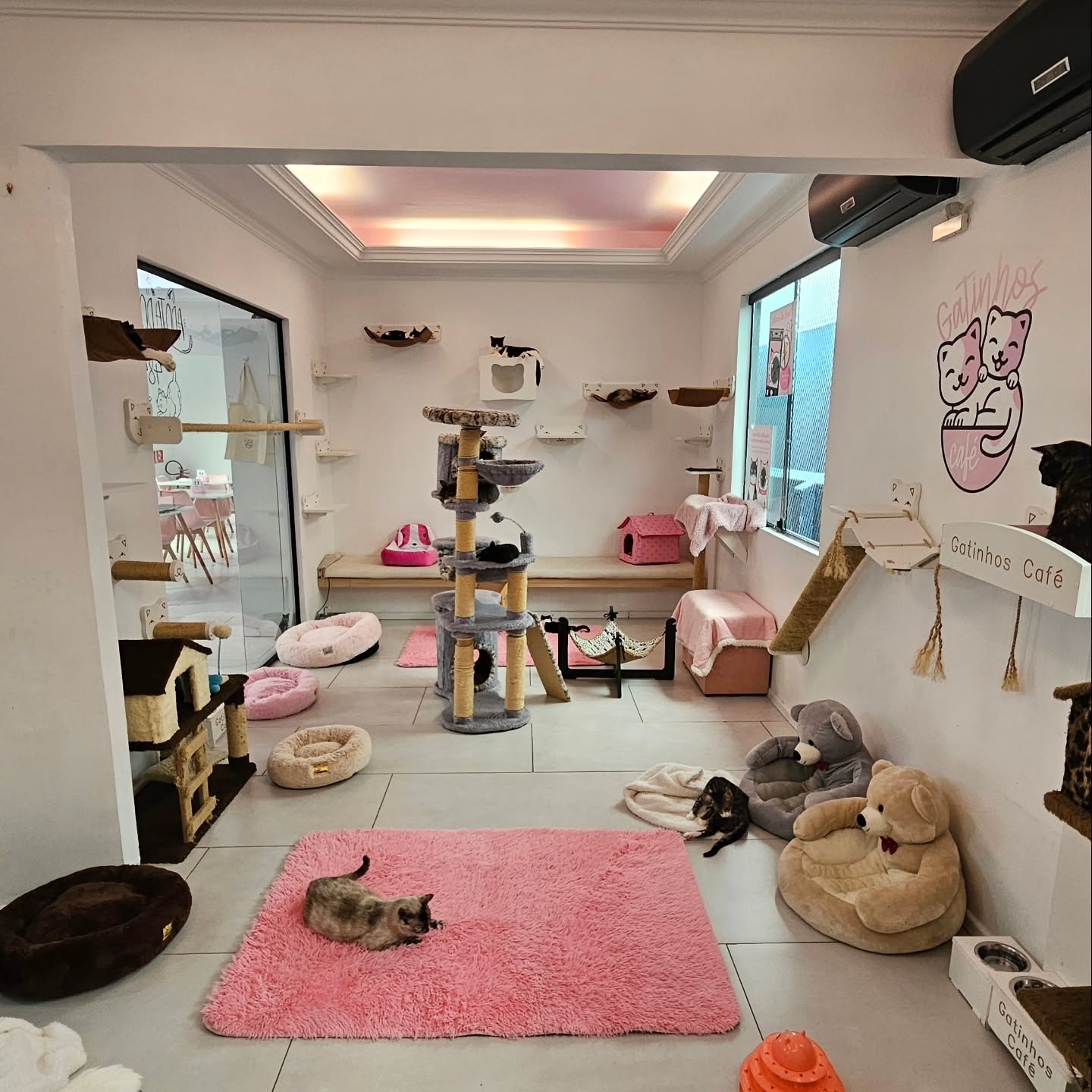 Gatinhos Café