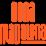 Bar: Dona Madalena Bar