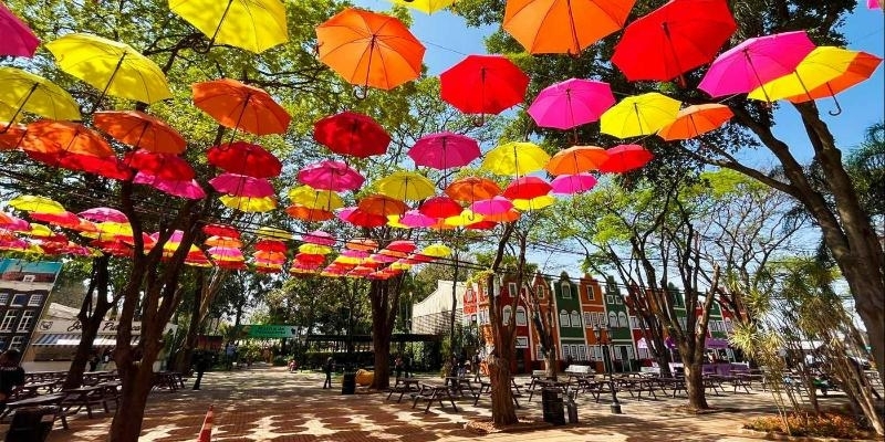 Excursao Para Holambra Exploflora Saindo De Franca
