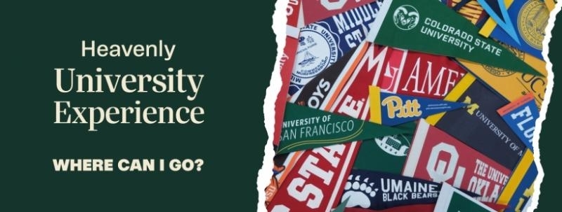 Evento: University Experience 2026