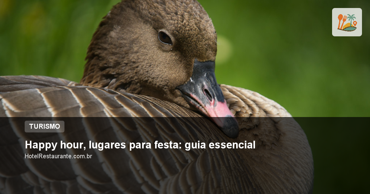 Happy hour, lugares para festa: guia essencial